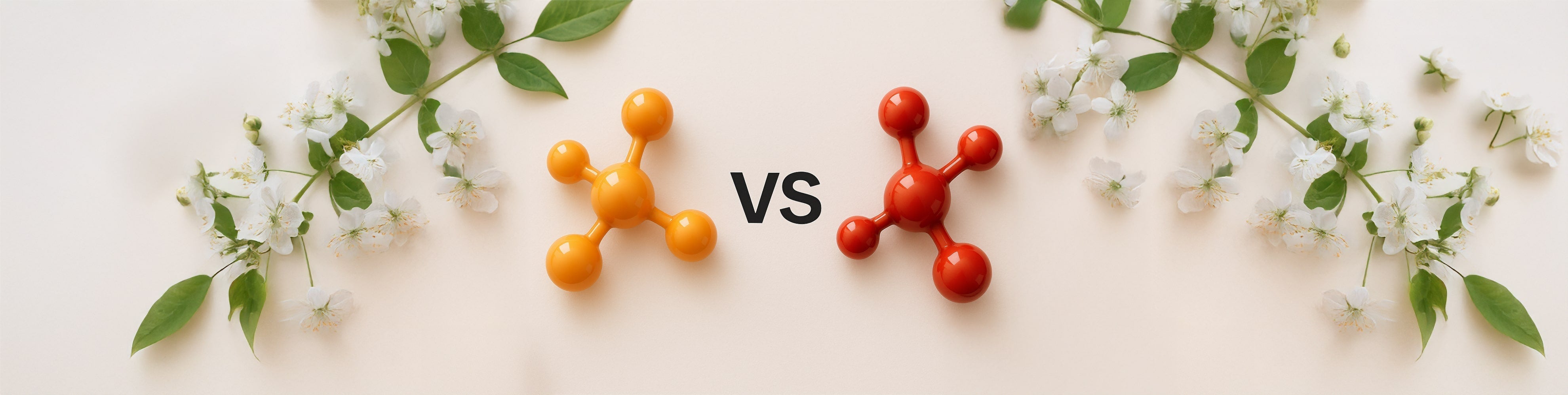 Ashwagandha vs. Różeniec górski – który adaptogen wybrać?