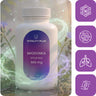 Lungwort 500 mg – natural support for the respiratory tract
