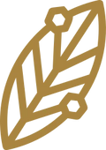 Wegańska forma